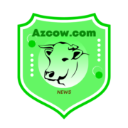 (c) Azcow.com
